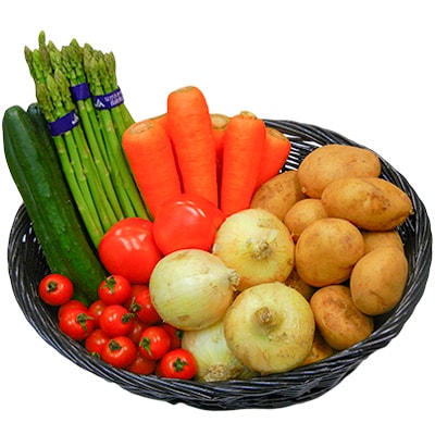 諫早・季節の野菜セット
