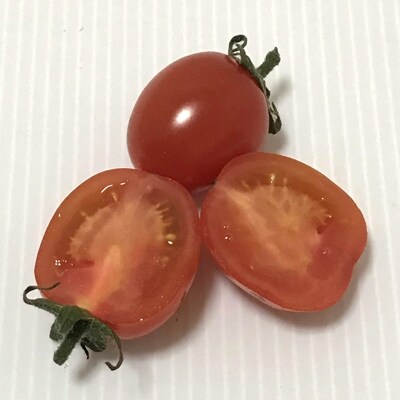 【和歌山県産】アイコトマト 2kg