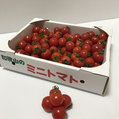 【和歌山県産】ミディトマト 2kg