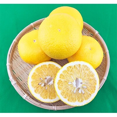 ＜先行受付＞2024年発送 和歌山有田産八朔(はっさく)約8.5kg Lサイズ みかんジュース付