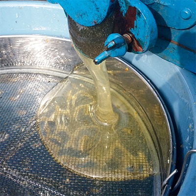 【尚仁沢湧水】 湧水の郷しおや はちみつ250g×3本セット