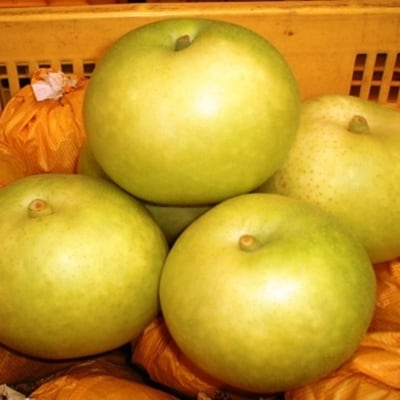 九重産　梨(約5kg)