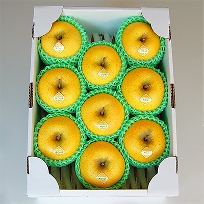 「パリパリ食感」南部町産シナノゴールド 約3kg (スマートフレッシュ製法)