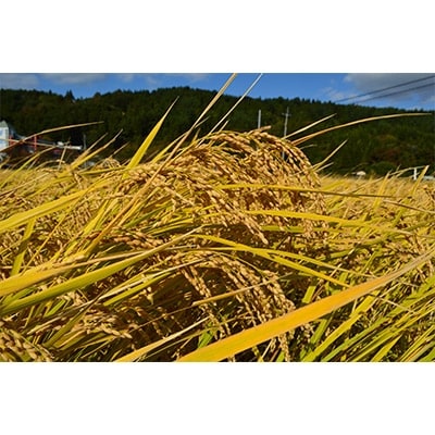 青森県南部町特別栽培米【南部達者米】2kg×2P