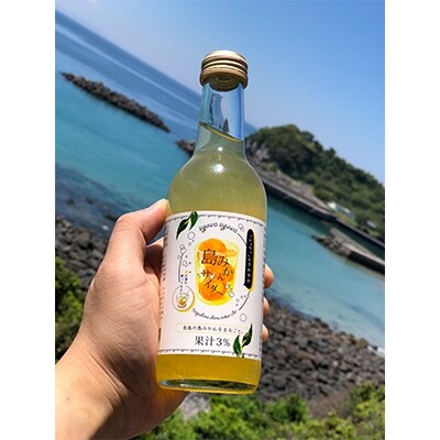 「島みかんサイダー」長島ご当地セット-N