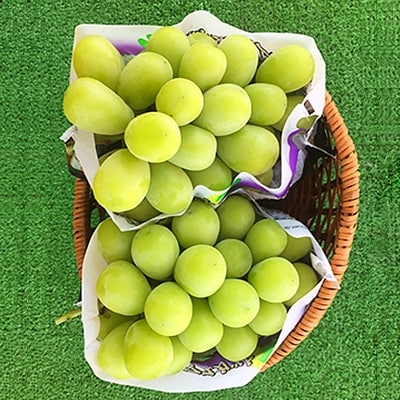【さとふる限定】果樹王国 やまなし から シャインマスカット 2房 (約1kg)