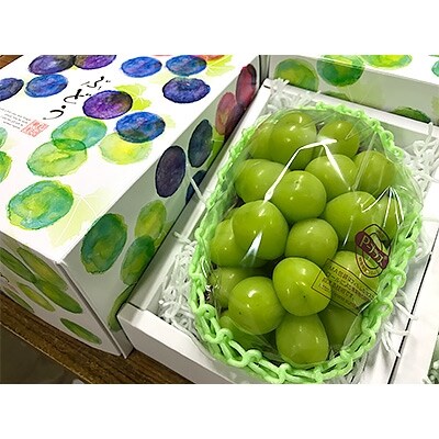 【産地直送】とにかく美味しい! 大粒シャインマスカット1房