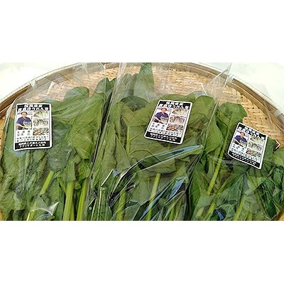 大刀洗産青野菜シリーズ ほうれん草5袋(1袋あたり約150g)