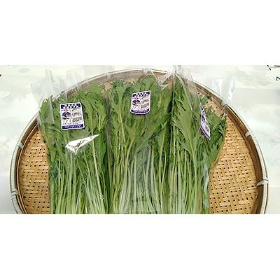 大刀洗産青野菜シリーズ 水菜5袋(1袋あたり約200g)