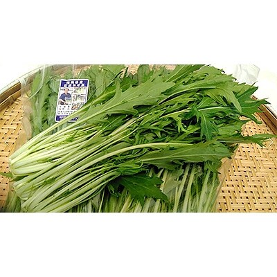 大刀洗産青野菜シリーズ 水菜5袋(1袋あたり約200g)