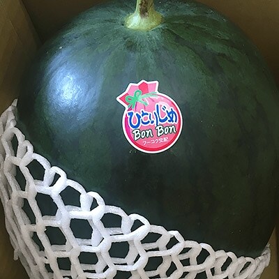 黒小玉スイカ「ひとりじめBonBon」 4Lサイズ以上2玉入り