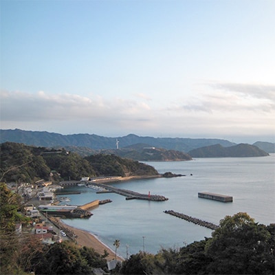 船釣り体験!有田の太刀魚　乗船券(12名様まで・貸し切り)