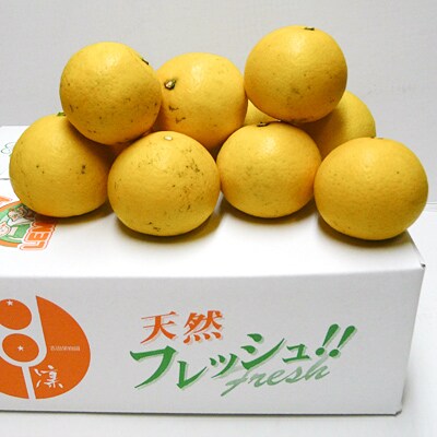 日向夏(ひゅうがなつ)　3kg