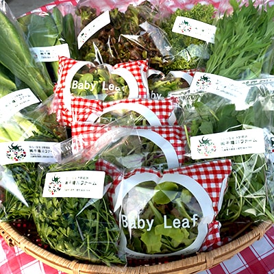 ふるさと新鮮野菜スモールパック