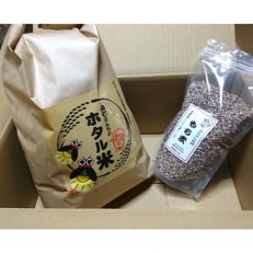 永石さんちのホタル米5kg+もち麦800gセット