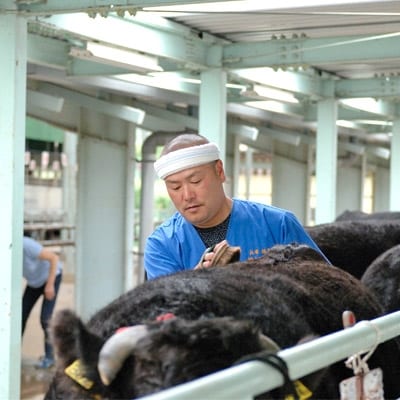珠玉の但馬牛“但馬玄(たじまぐろ)”　合わせスライス約500g