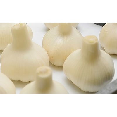 【新物】生にんにく　約2kg