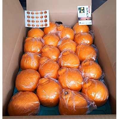 貯èµãã³ãã³ãç´5kg