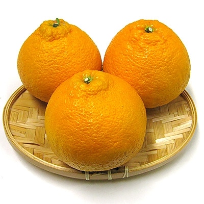 貯蔵デコポン　約5kg