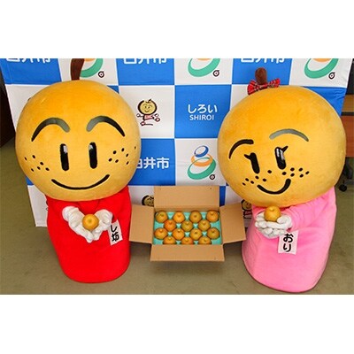 【先行受付】しろいの梨(新高)5kg(8~12玉)