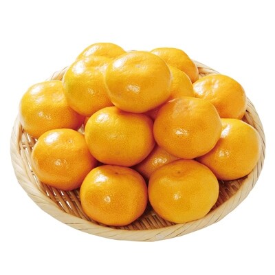 樹上完熟「有田みかん」 (秀品) 約10kg