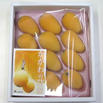 【数量限定】贈答用びわ化粧箱　約500g×2箱