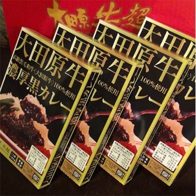 大田原牛　100%　黒カレー(4パック)