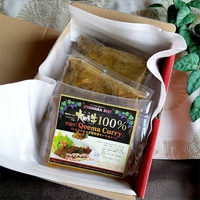 大田原牛　100%　キーマカレー　3パックセット