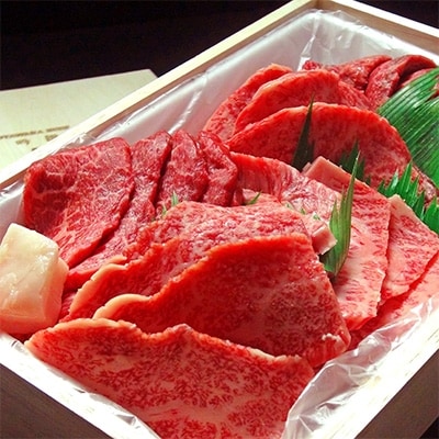 大田原牛　極上霜降りと濃厚赤身部位のお任せ【焼肉詰め合わせ】(約500g)