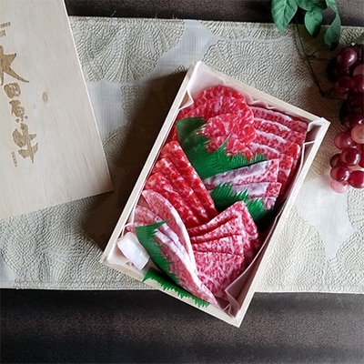 大田原牛　極上霜降りと濃厚赤身部位のお任せ【焼肉詰め合わせ】(約500g)
