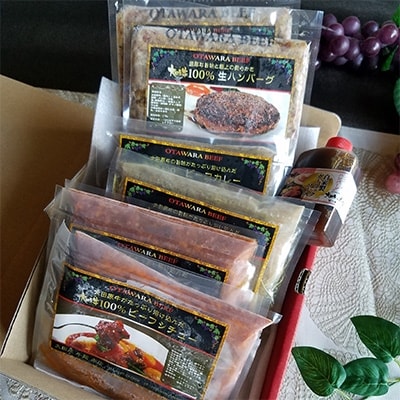 【2名様用】大田原牛　ハンバーグ　カレー　シチュー詰め合わせ