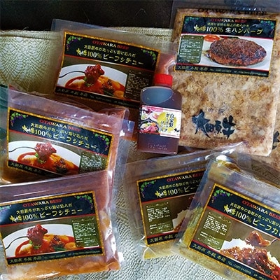 【3名様用】大田原牛　ハンバーグ、カレー、シチューの詰め合わせ