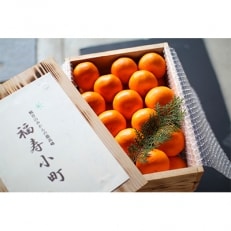 観音山みかん最高峰「福寿小町」5kg