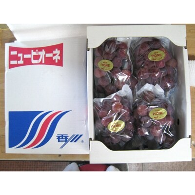 ご家庭用ピオーネ　約1.8kg(3～6房)