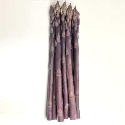 逸品　紫アスパラガス　約1kg×2箱