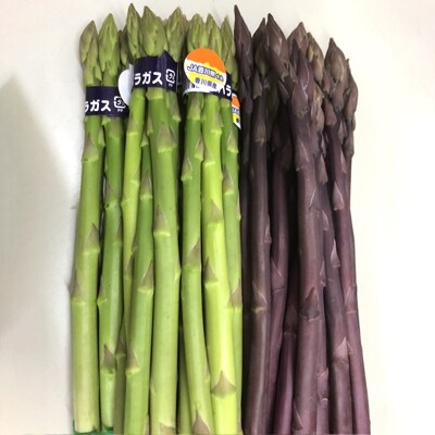 アスパラガス　食べ比べ約1kg×2箱