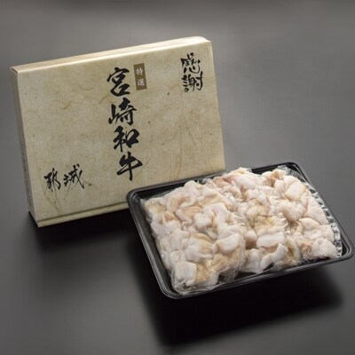 黒毛和牛ホルモン計900g