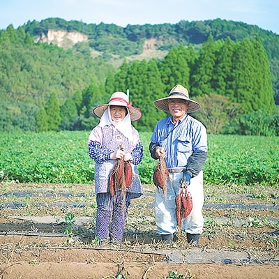 大分県産VEGEMARI野菜パウダー　 離乳食セット
