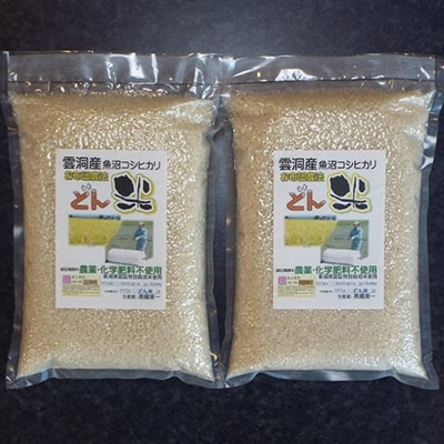 南魚沼市雲洞産魚沼コシヒカリ「どん米」 精米真空パック 2kg×2