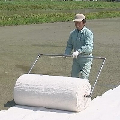 南魚沼市雲洞産魚沼コシヒカリ「どん米」 精米3升(1.5kg×3パック)