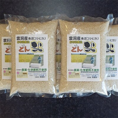 南魚沼市雲洞産魚沼コシヒカリ「どん米」 精米5升(1.5kg×5パック)