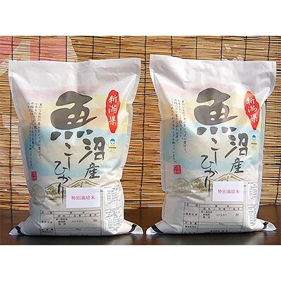 「2020年5月中旬発送」がんこおやじが作った南魚沼産コシヒカリ　10kg(5kg×2袋)