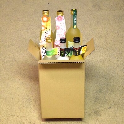 果肉入りフルーツリキュール6本セット(各500ml)