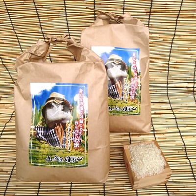 「平成30年産」長崎ヒノヒカリ　白米8kg(4kg×2)