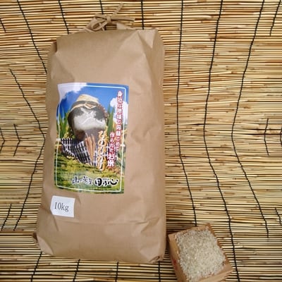 「平成30年産」長崎ヒノヒカリ　白米10kg