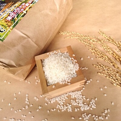 「平成30年産」長崎ヒノヒカリ　白米10kg