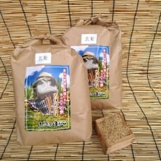 長崎ヒノヒカリ　玄米8.4kg(4.2kg×2)