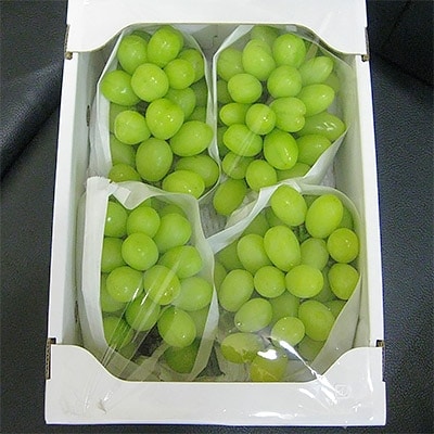 シャインマスカット 1.5kg