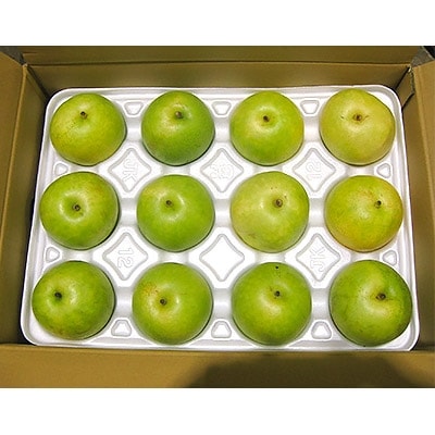 ホウナンの梨(二十世紀梨)約5kg