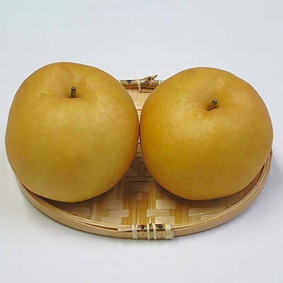 ホウナンの梨(新高梨)約4kg(4～8玉)